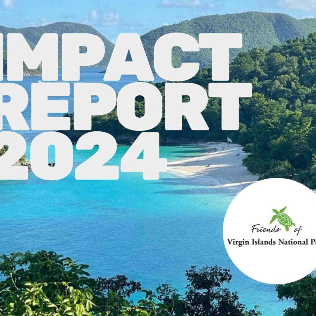 Impact Report 2024 cover