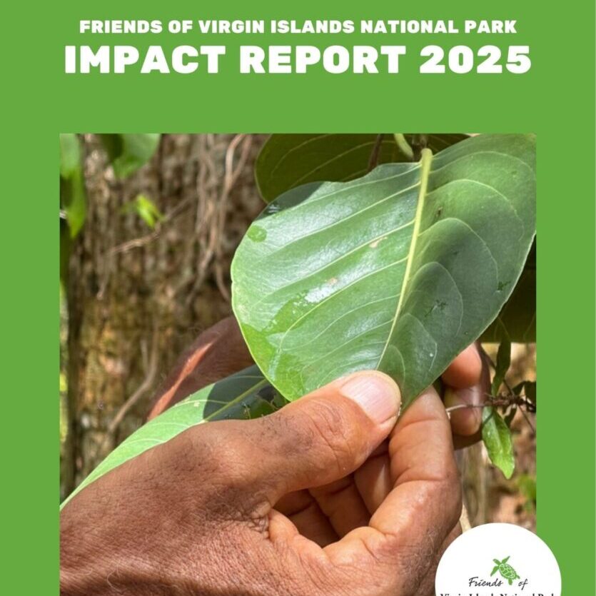 Impact report cover 2025