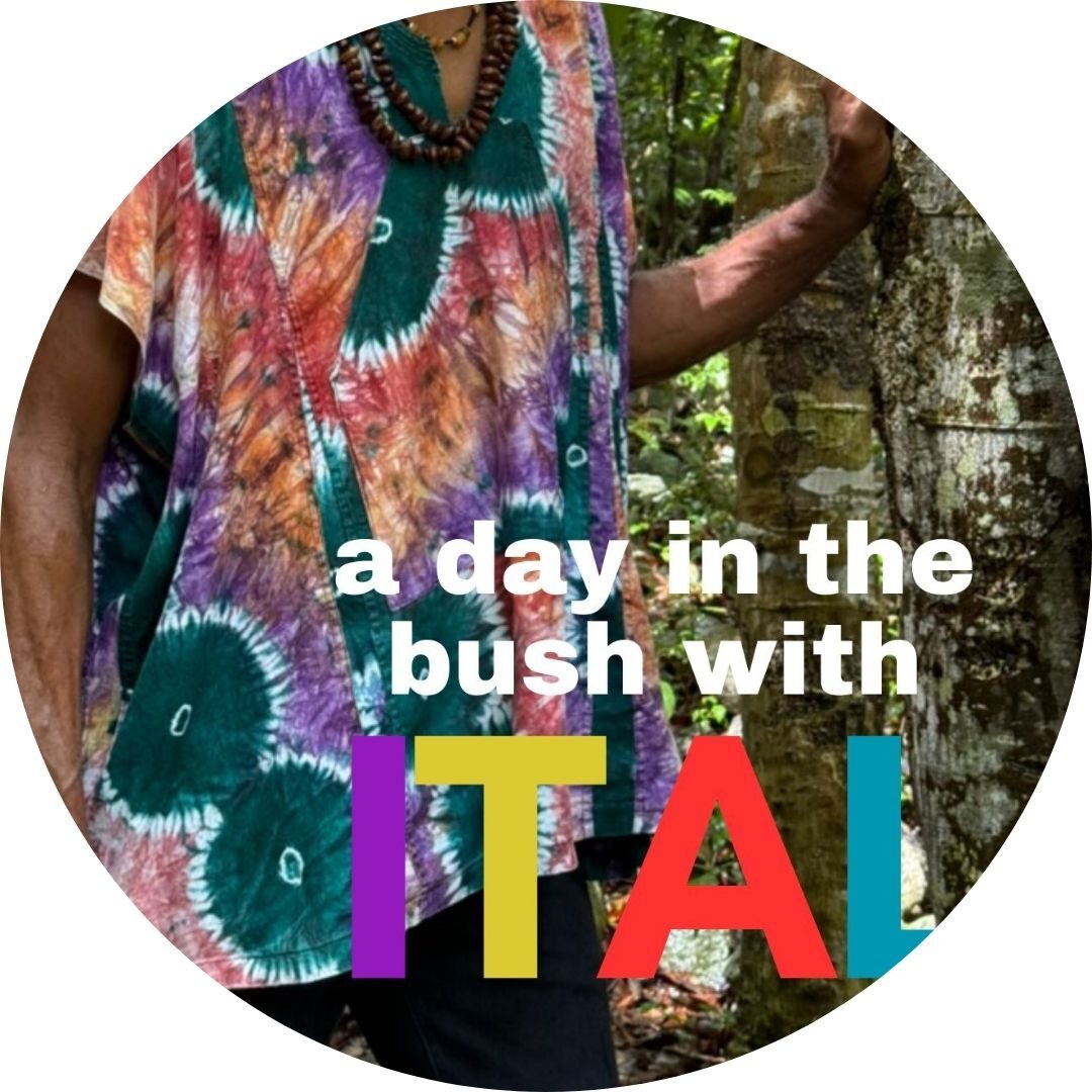 Itals Book cover round