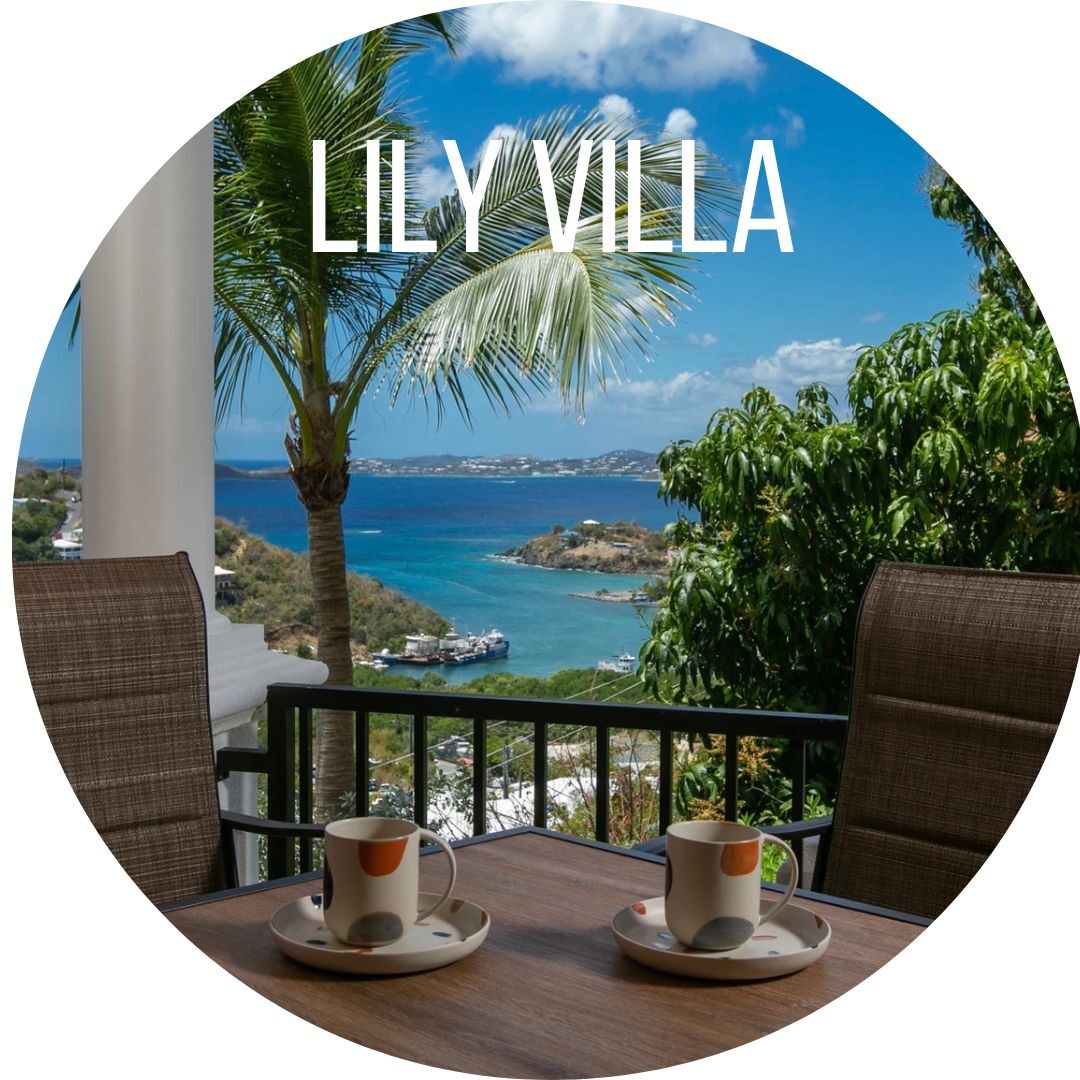 Balcony with two cups overlooking tropical bay