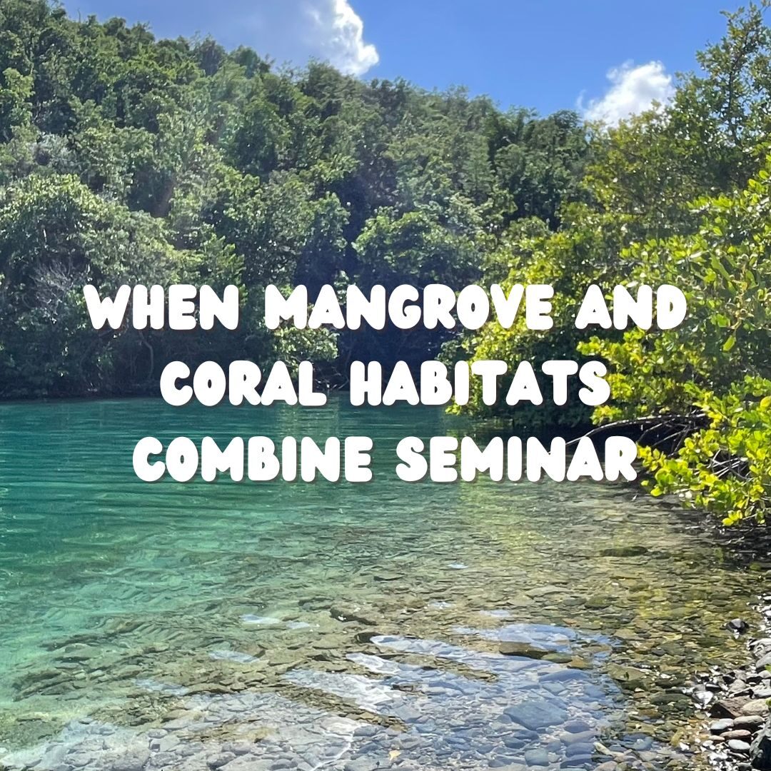 Mangrove & Coralwhen mangrove and coral habitats combine