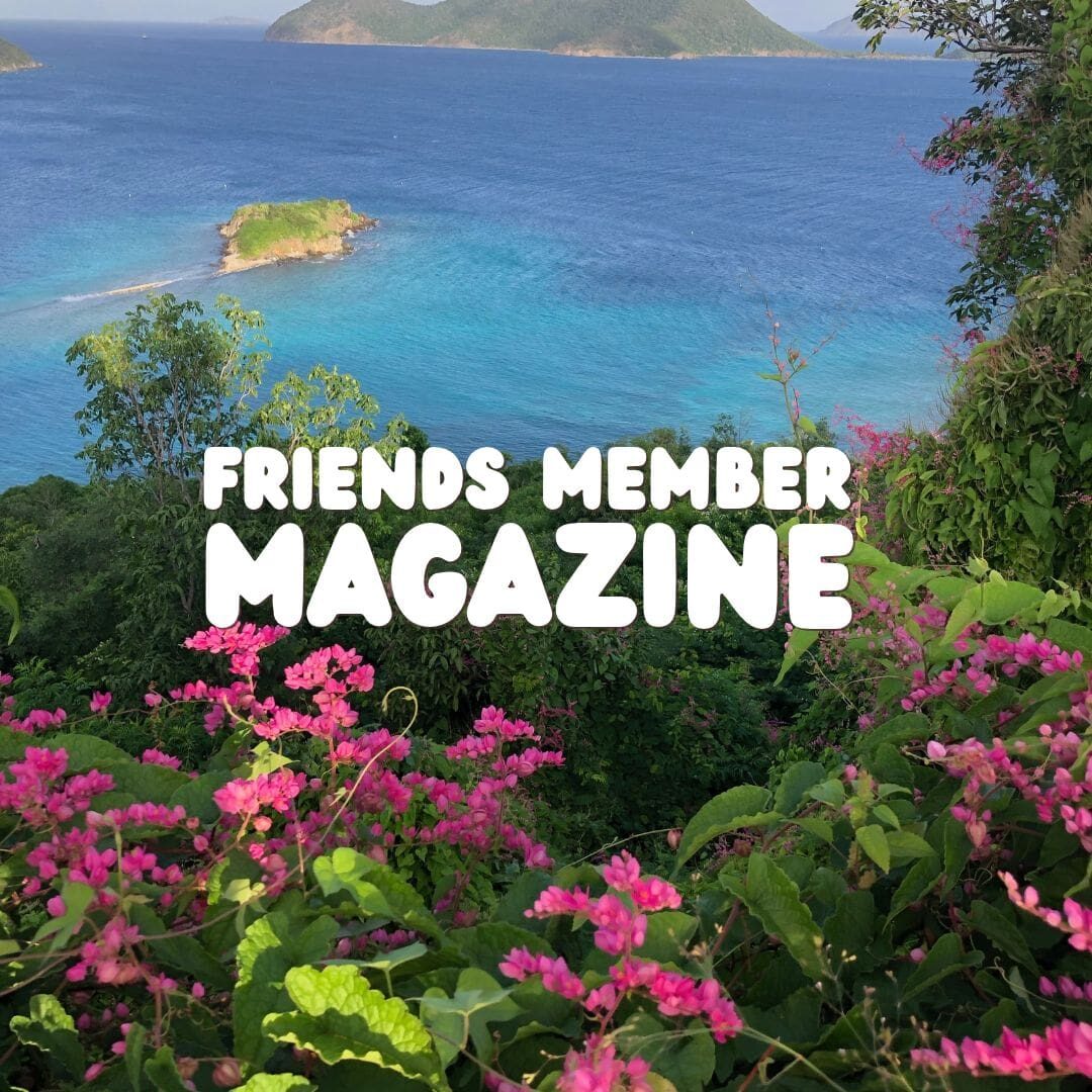 Member mag