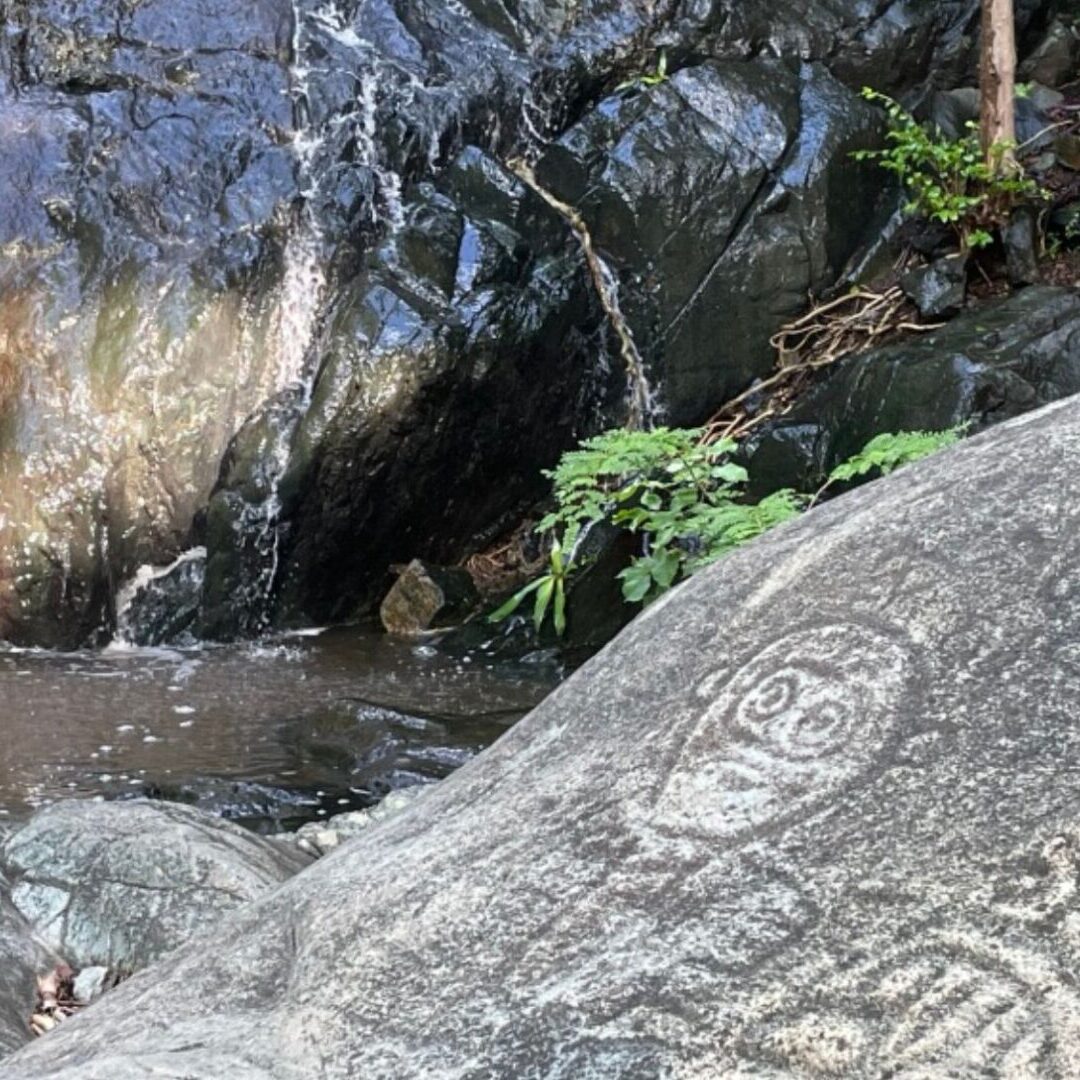 Reef Bay Petroglyphs 16x9