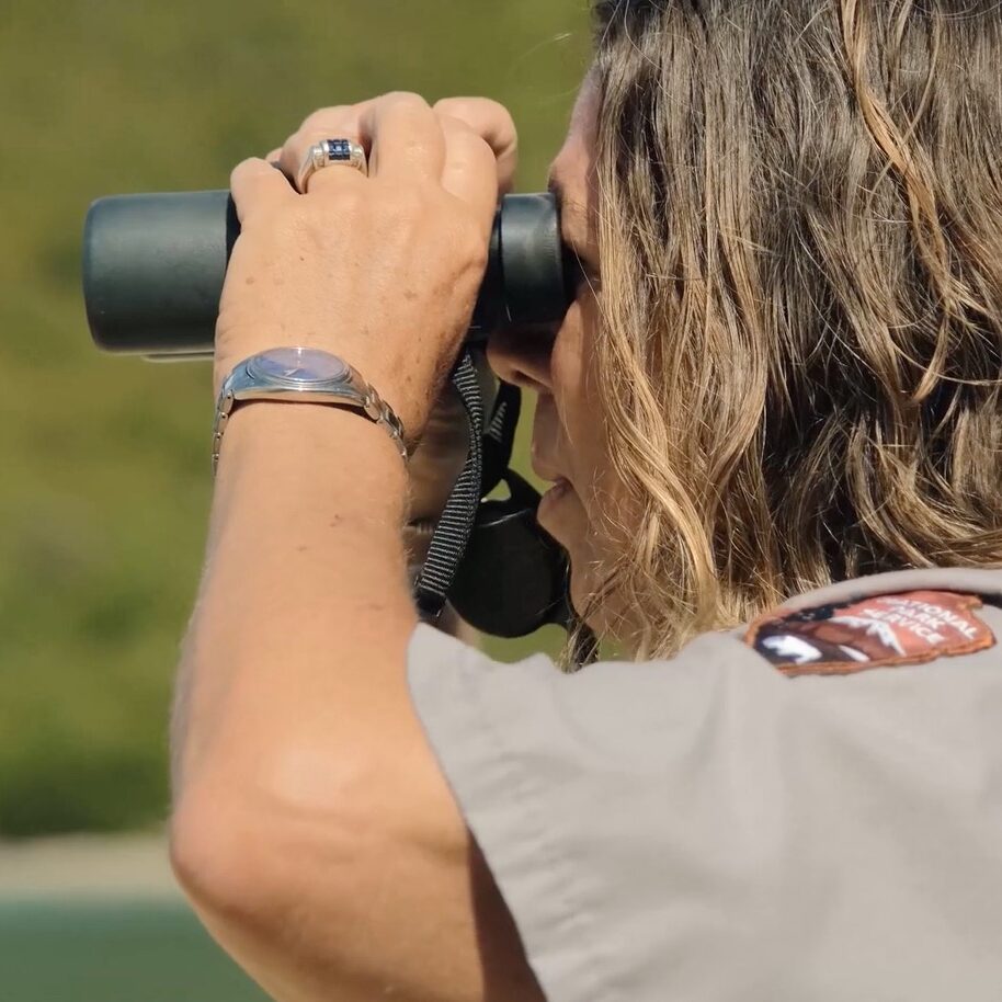 Bird Walk Video