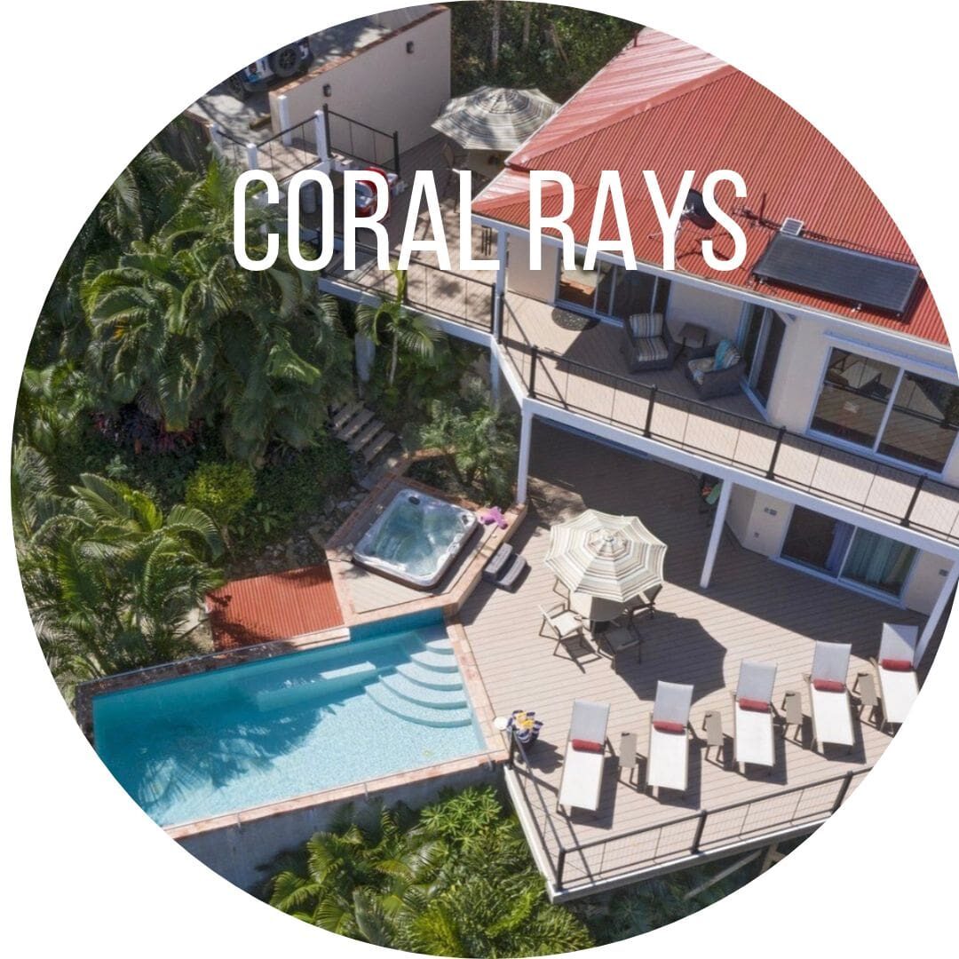 coral rays
