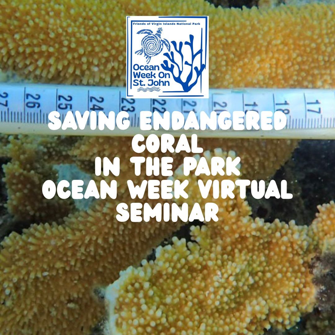 coral seminar