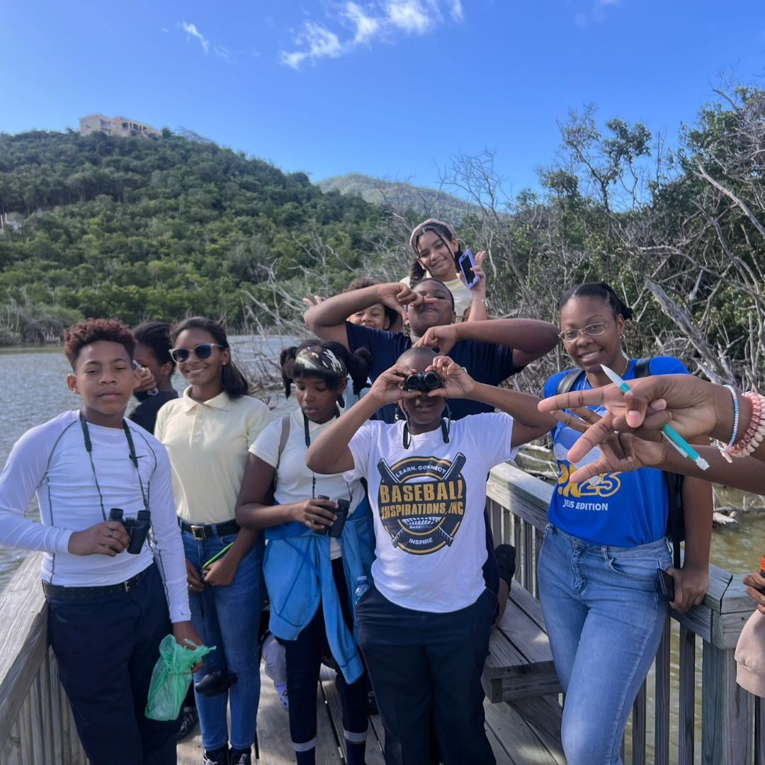 francis bird walk