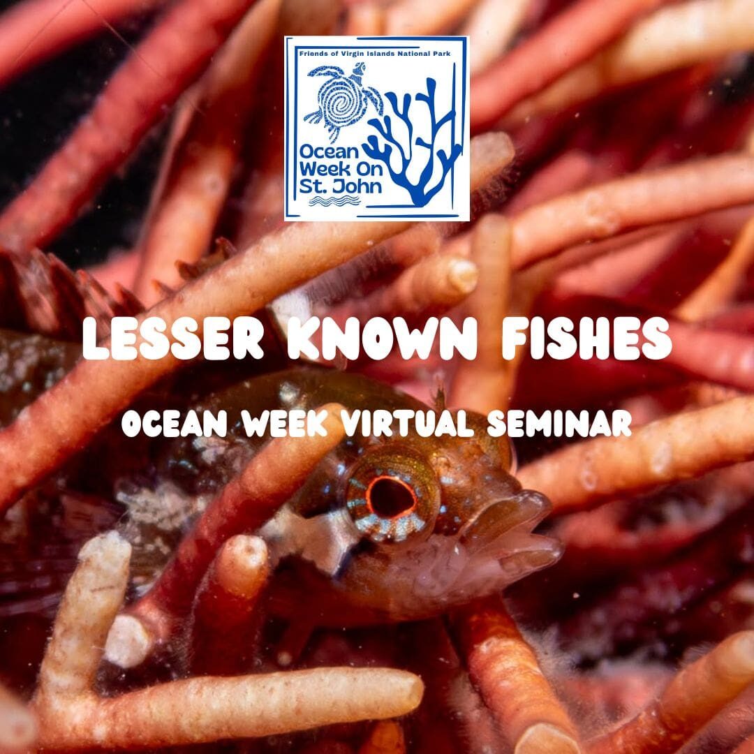 lesser known fishes seminar (1)