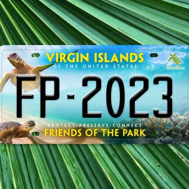 license plates 2023