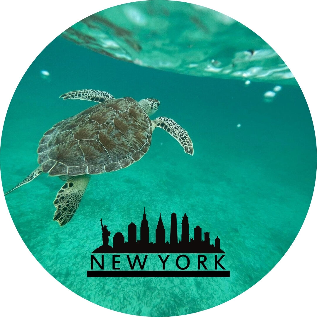 nyc 2026