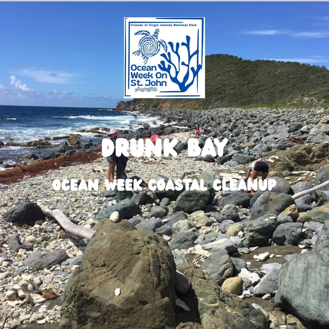 ocean coastal Drunk Bay Clean up