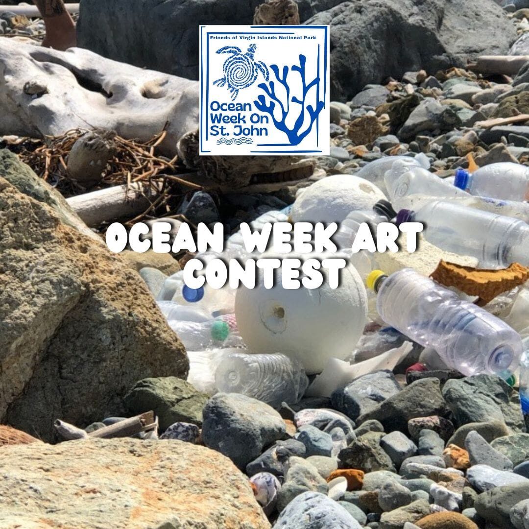 ocean week art contest