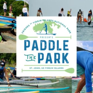 Paddle The Park