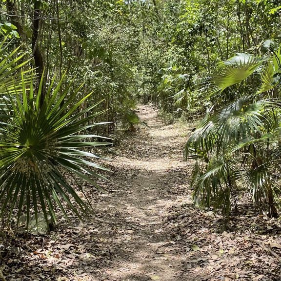 reef bay trail