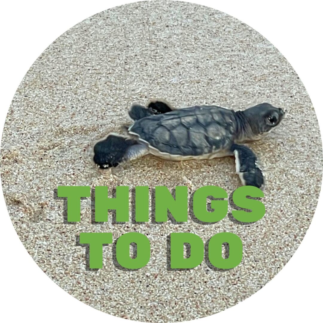 things to do