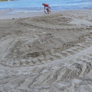 Leatherback tracks