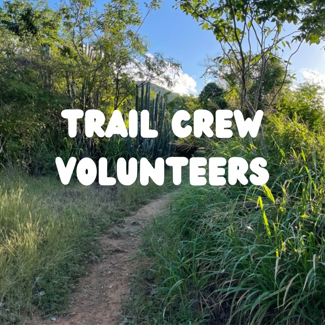 Trail crew volunteers