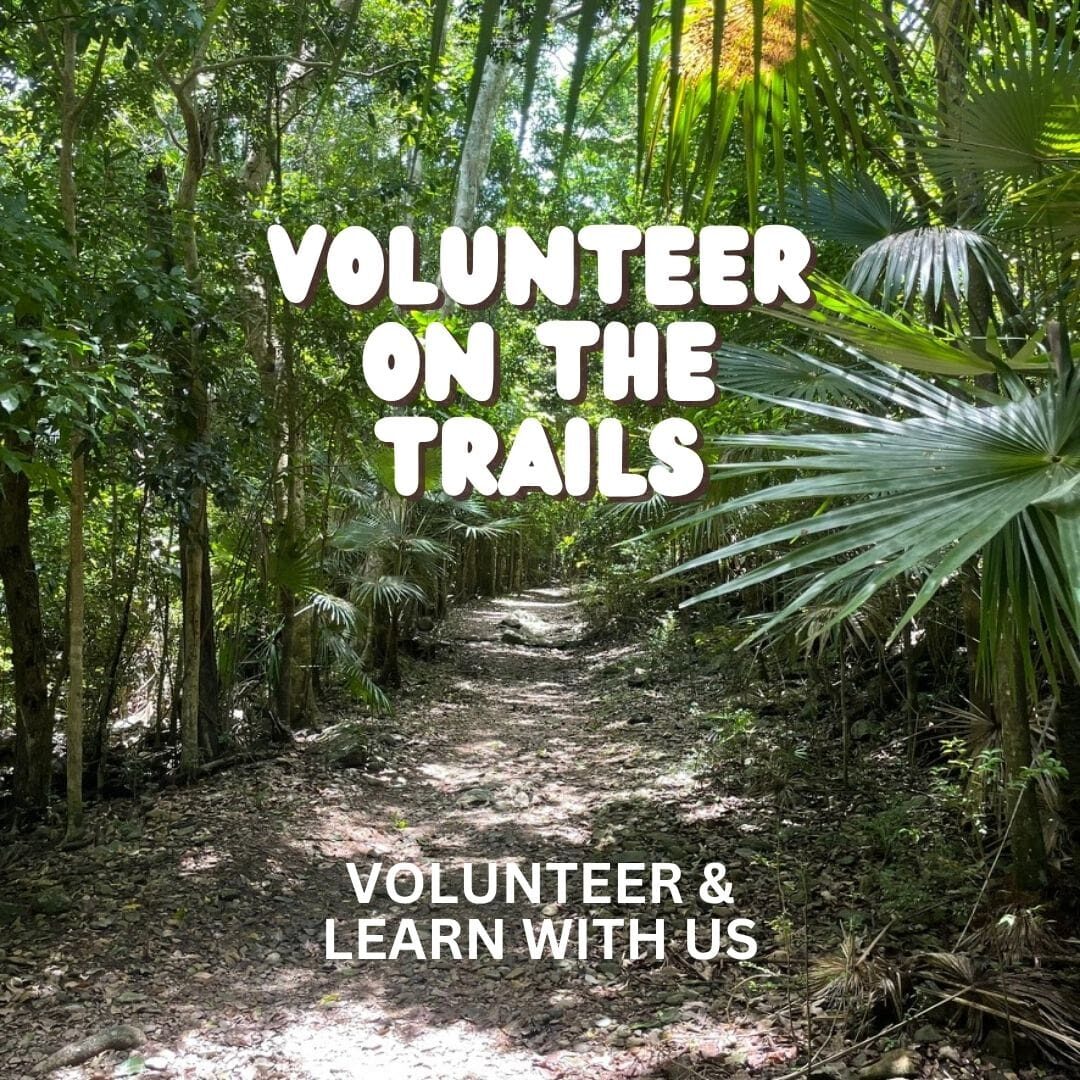 walk up trail volunteering